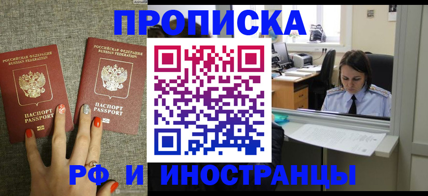 прописка законно в Волоколамске